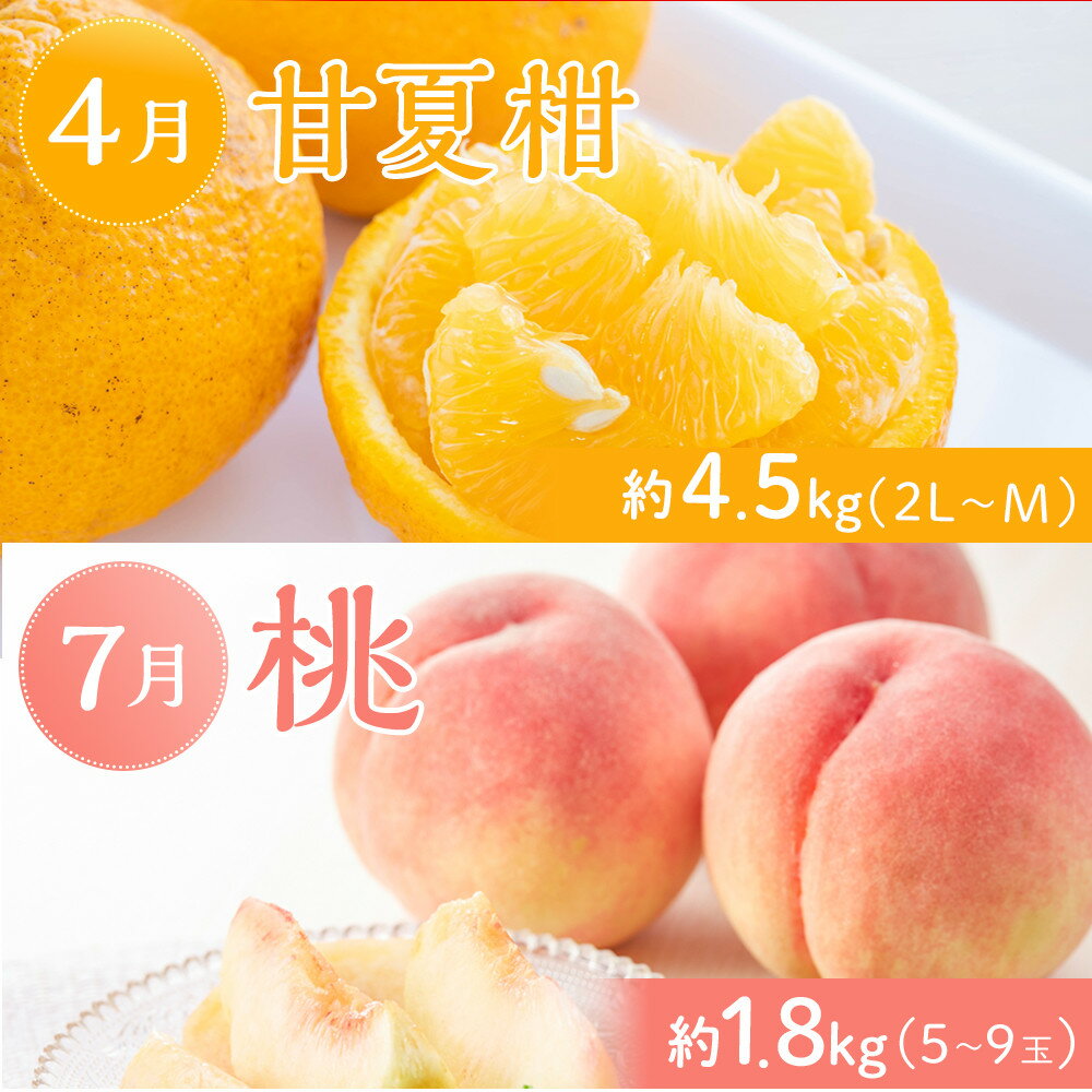 【ふるさと納税】坂出市「旬のフルーツを味わう6回」定期便 【発送月：2月・4月・7月・9月・11月・12月】 サムネイル3