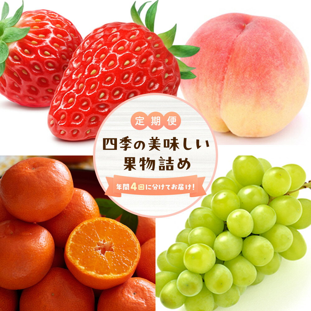 ＜定期便＞四季の美味しい果物詰め　年間4回に分けてお届け！ | フルーツ 果物 くだもの 食品 人気 おすすめ 送料無料
