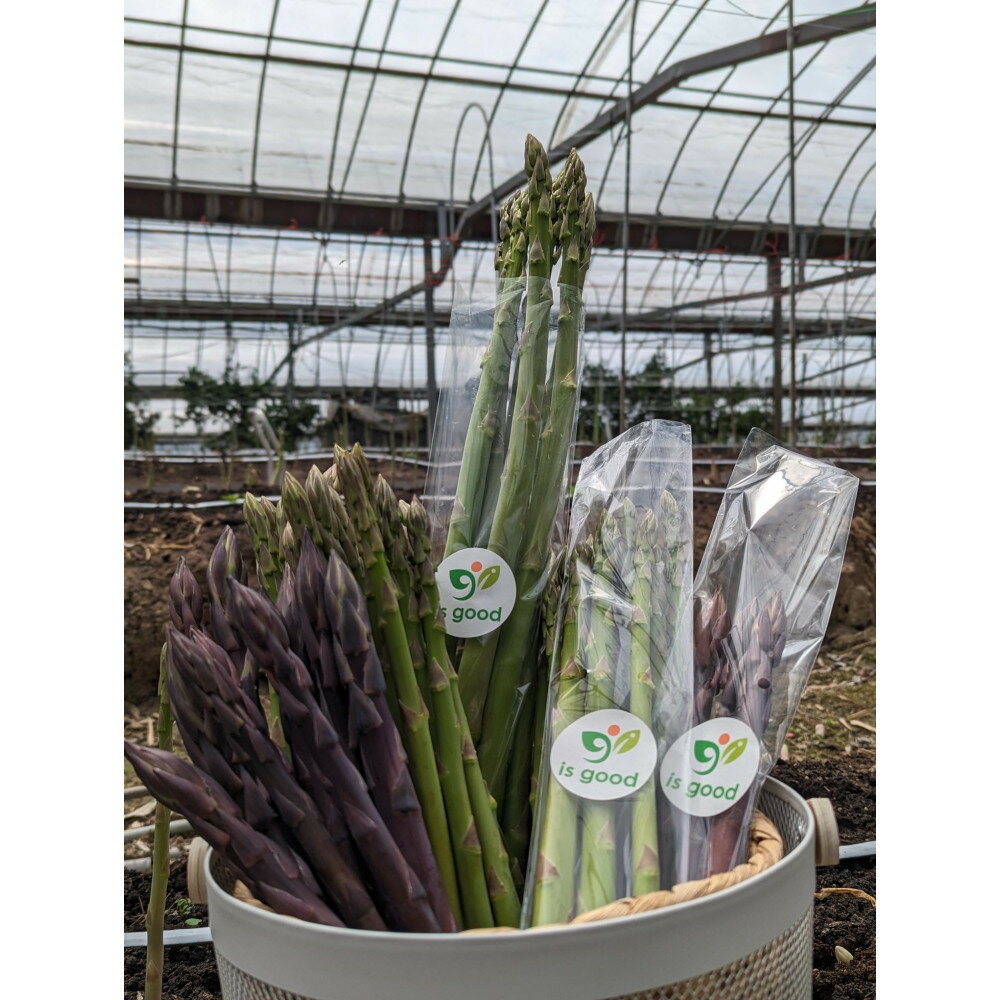 【ふるさと納税】＜2026年4月から発送＞坂出ふれあい産直市のアスパラガス「さぬきのめざめ」約1kg - 画像3