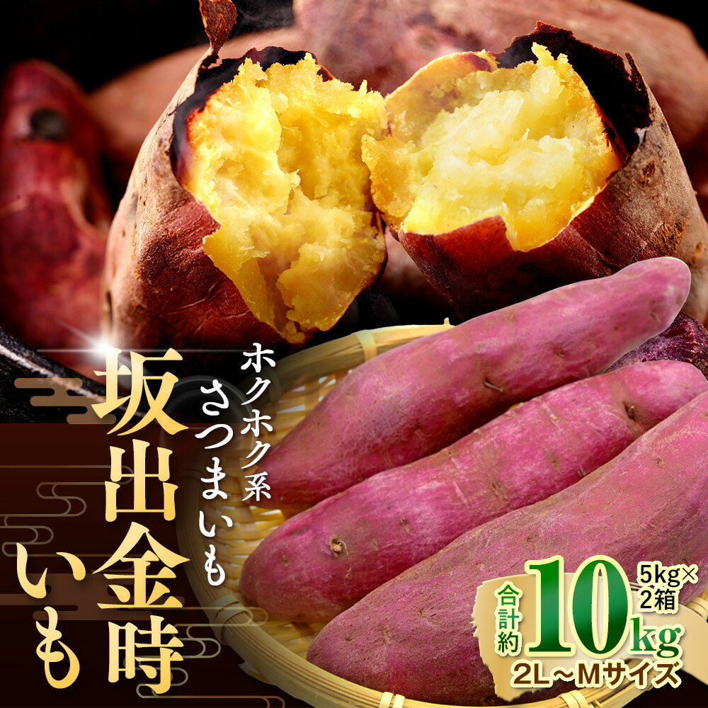 ＜2026年8月下旬以降発送・先行予約＞ホクホク系さつまいも「坂出金時いも」約5kg×2箱　2L～Mサイズ | 香川県 坂出市 香川 四国 返礼品 お取り寄せグルメ 取り寄せ グルメ 食品 さつまいも さつま芋 サツマイモ まとめ買い お取り寄せ 野菜 やさい 特産品