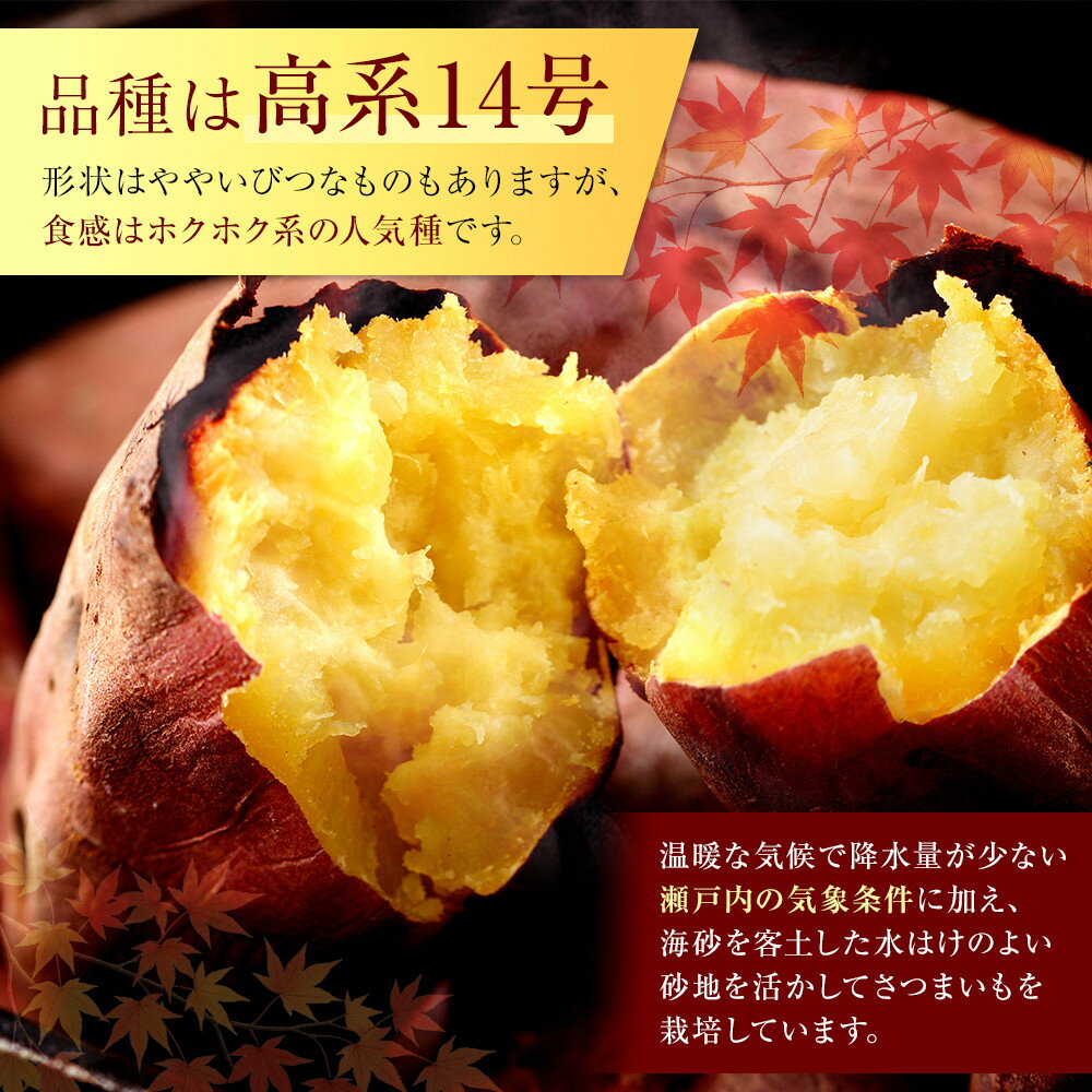 【ふるさと納税】＜2026年8月下旬以降発送・先行予約＞ホクホク系さつまいも「坂出金時いも」約5kg×2箱　2L～Mサイズ | 香川県 坂出市 香川 四国 返礼品 お取り寄せグルメ 取り寄せ グルメ 食品 さつまいも さつま芋 サツマイモ まとめ買い お取り寄せ 野菜 やさい 特産品 - 画像2