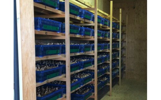 【ふるさと納税】讃岐の恵み「黒にんにく」100g×5袋 - 画像3