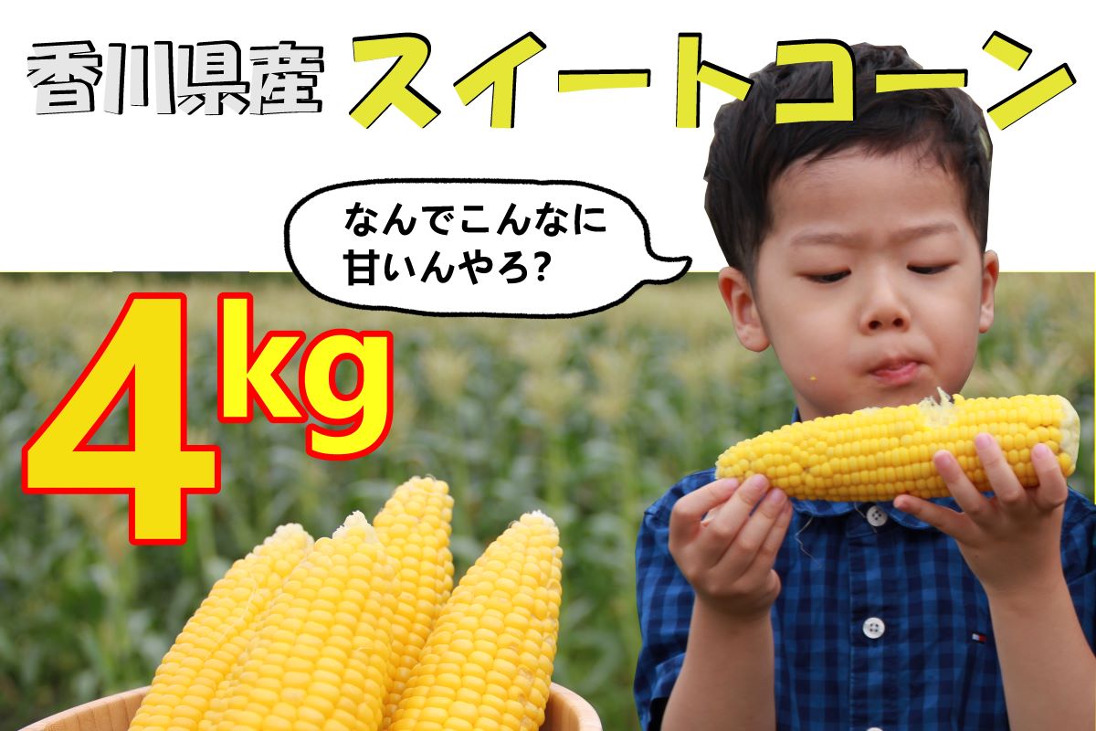 ＜先行予約受付中！＞2026年産　善通寺市産スイートコーン 4kg