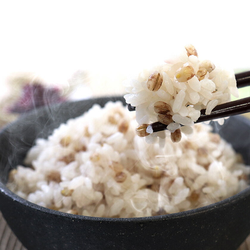 【ふるさと納税】善通寺市産 讃岐もち麦ダイシモチ　5kg（1kgx5袋） - 画像2