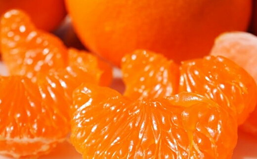 【ふるさと納税】2025年秋よりお届け 高糖度系石地みかん 約3kg 柑橘類 フルーツ 果物 ミカン 　お届け：2025年12月上旬～12月中旬 サムネイル2