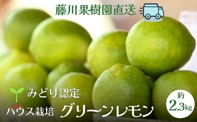 【ふるさと納税】【2025年 先行予約】みどり認定 ハウス栽培グリーンレモン 約2.3kg 国産レモン 香川 果物類／柑橘類／みかん レモン　 　お届け：2025年10月中旬～11月下旬 サムネイル2