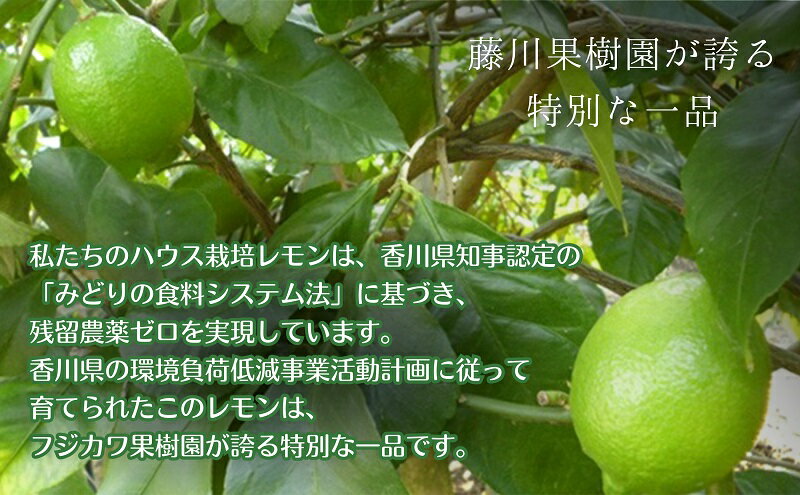 【ふるさと納税】【2025年 先行予約】みどり認定 ハウス栽培グリーンレモン 約2.3kg 国産レモン 香川 果物類／柑橘類／みかん レモン　 　お届け：2025年10月中旬～11月下旬 サムネイル3
