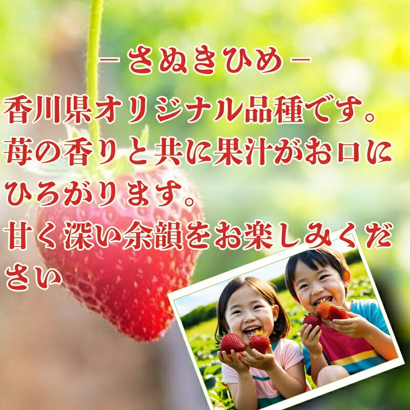 【ふるさと納税】【2月より発送開始】いちご「さぬきひめ」約2kg　【配送不可エリア】北海道、沖縄県、離島エリア 果物類／いちご／苺／イチゴ／フルーツ　 　お届け：2026年2月上旬～5月下旬 サムネイル3