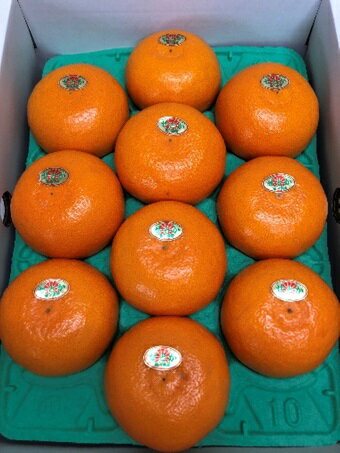 【ふるさと納税】せとか 約3kg化粧箱 果物類／みかん 柑橘類 フルーツ　 　お届け：2026年2月上旬～2月下旬 サムネイル3