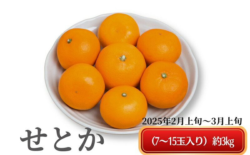 【ふるさと納税】《とろける美味》 せとか 約3kg 甘い みかん （ お取り寄せ おすすめ 美味しい せとかみかん せとかふるさと納税 季節限定 柑橘 蜜柑 かんきつ フルーツ 青果 果物 くだもの 贈り物 特産品 ） 香川県観音寺市 　お届け：2026年2月上旬～3月上旬 サムネイル2