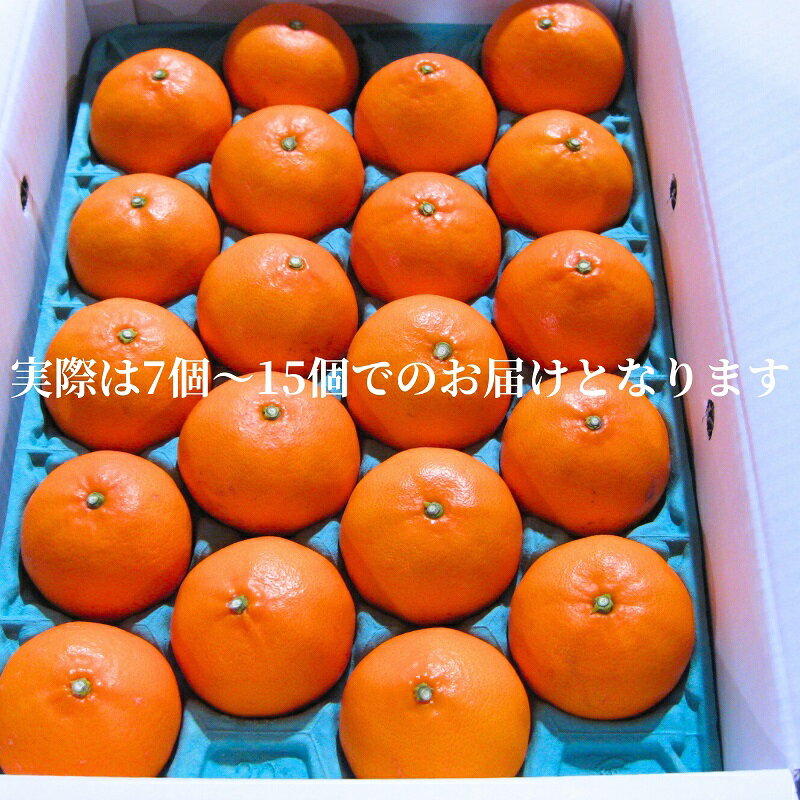【ふるさと納税】《とろける美味》 せとか 約3kg 甘い みかん （ お取り寄せ おすすめ 美味しい せとかみかん せとかふるさと納税 季節限定 柑橘 蜜柑 かんきつ フルーツ 青果 果物 くだもの 贈り物 特産品 ） 香川県観音寺市 　お届け：2026年2月上旬～3月上旬 サムネイル3