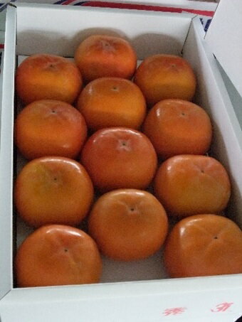 【ふるさと納税】富有柿 約3.5kg 果物類 フルーツ／柿　 　お届け：2025年11月中旬～12月上旬 サムネイル3