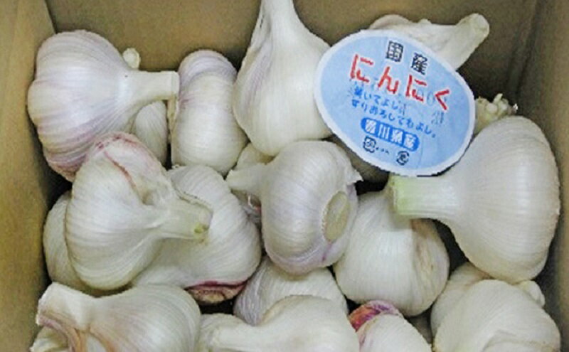 【ふるさと納税】生にんにく 約2kg 野菜 ニンニク 大蒜　 　お届け：2026年5月上旬～6月上旬 - 画像3