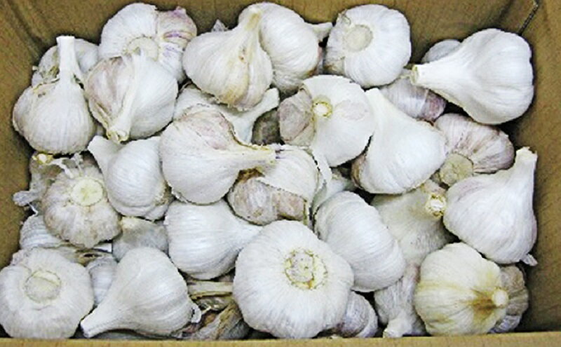 【ふるさと納税】乾燥にんにく約2.5kg 野菜 大蒜 ニンニク　 　お届け：2026年6月中旬～8月上旬 - 画像3