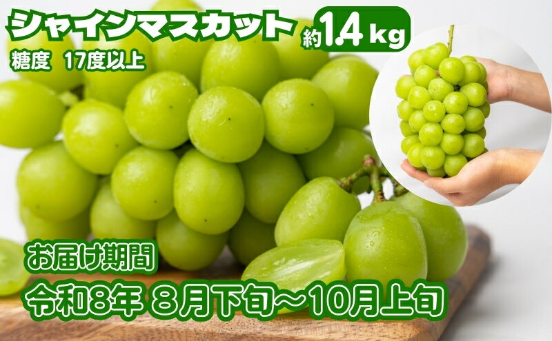 【ふるさと納税】《鮮度抜群》シャインマスカット 約1.4kg 2～4房入り ぶどう 香川県産 種なし 果物 葡萄 フルーツ 甘い 送料無料 冷蔵 期間限定 年内発送 おいしい 高評価 採れたて 産地厳選 大人気 産直 　お届け：2026年8月下旬～10月上旬 - 画像2