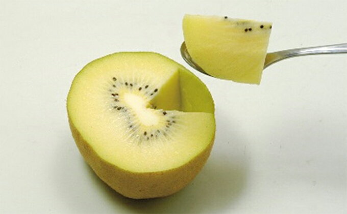 【ふるさと納税】香川県オリジナルキウイ「さぬきゴールド」約3kg 果物詰合せ フルーツ 果物 詰合せ セット 　お届け：2025年10月中旬～12月下旬 サムネイル3