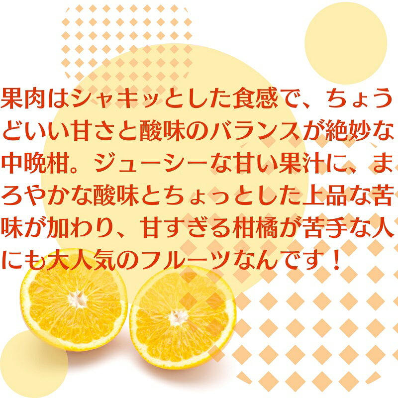 【ふるさと納税】八朔　約10kg 果物類 みかん 柑橘類 フルーツ 　お届け：2026年3月上旬～4月上旬 サムネイル3