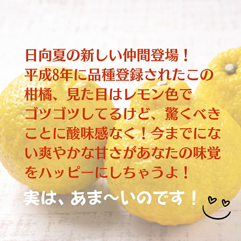【ふるさと納税】さわやかな甘さ「はるか」約5kg 果物類 柑橘類 フルーツ みかん 　お届け：2026年2月中旬～3月上旬 サムネイル3