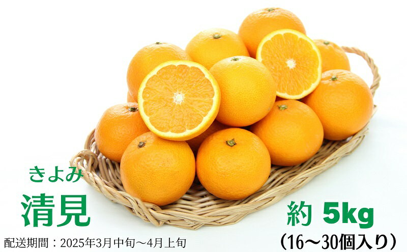 【ふるさと納税】清見　約5kg 果物類 柑橘類 フルーツ みかん 　お届け：2026年3月中旬～4月上旬 サムネイル2