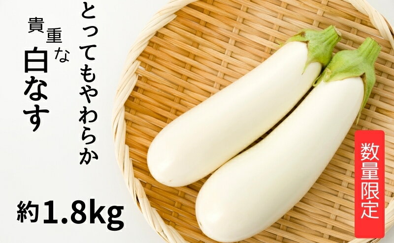 【ふるさと納税】【数量限定】とっても柔らか 貴重な白なす 約1.8kg 茄子 野菜 野菜セット 　お届け：2026年7月上旬～10月上旬 - 画像2