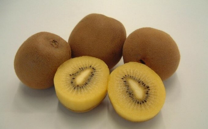 【ふるさと納税】香川県オリジナルキウイ「さぬきゴールド」大玉約1.2kg　果実 甘い 讃岐 くだもの ジューシー フルーツ 果物詰合せ 　お届け：2025年10月中旬～12月下旬 サムネイル3