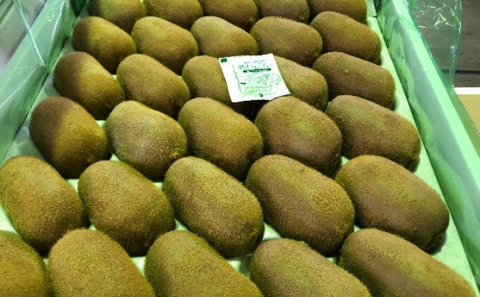 【ふるさと納税】香川県オリジナルキウイ「香緑（こうりょく）」約3kg 果実 キウィ 甘い 讃岐 フルーツ 果物詰合せ 　お届け：2025年11月下旬～2026年1月下旬 サムネイル2