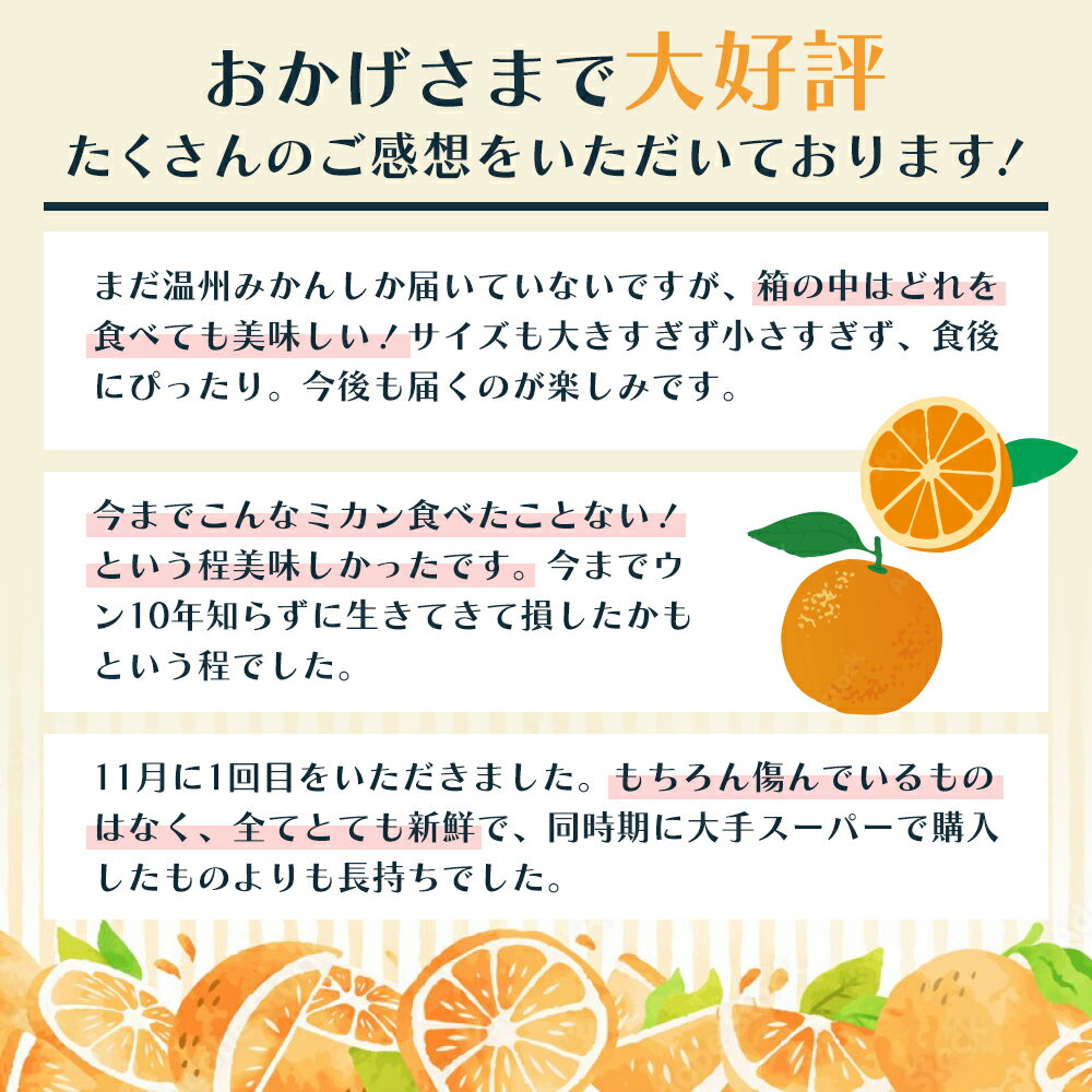 【ふるさと納税】みかん 定期便 5回 フルーツ フジカワ果樹園オリジナル（新季節の柑橘セット） 果物 温州みかん はるみ 讃岐しらぬひ セミノール 甘夏柑 柑橘類 5ヶ月 　お届け：ご寄附（入金）下さった月の翌該当月より順次発送致します。 サムネイル3