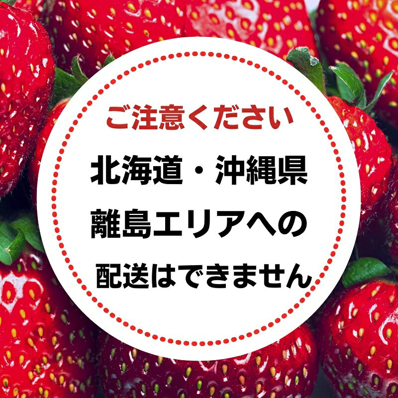 【ふるさと納税】福田さんちのイチゴ(さぬきひめ) 2Lサイズ×4パック 1kg以上【配送不可：北海道、沖縄県、離島エリア】苺 農園直送 いちご採れたて直送　お届け：2025年12月上旬～2026年5月上旬収穫次第順次発送いたします。 サムネイル3
