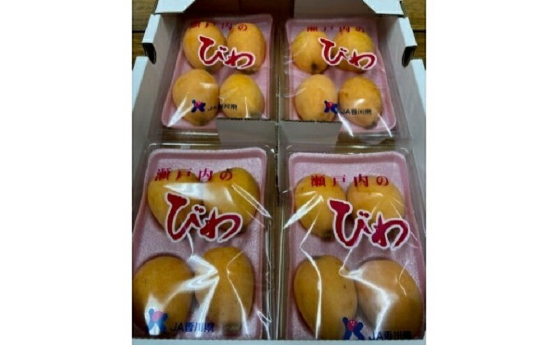 【ふるさと納税】なつたより（びわ）約1kg さぬき産フルーツ 果物類 枇杷 　お届け：2026年5月下旬～6月下旬 - 画像3