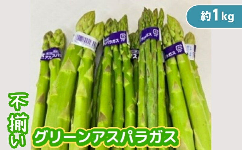 【ふるさと納税】不揃い グリーン アスパラガス 約1kg 野菜 グリーンアスパラガス 　お届け：2026年6月中旬～10月上旬 - 画像2