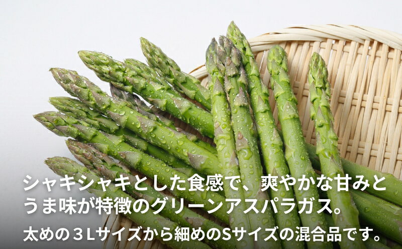 【ふるさと納税】不揃い グリーン アスパラガス 約1kg 野菜 グリーンアスパラガス 　お届け：2026年6月中旬～10月上旬 - 画像3