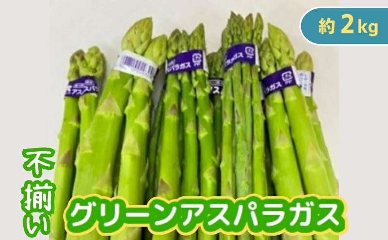 【ふるさと納税】不揃い グリーン アスパラガス 約2kg 野菜 グリーンアスパラガス 　お届け：2026年6月中旬～10月上旬 - 画像2