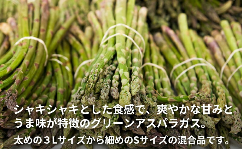 【ふるさと納税】不揃い グリーン アスパラガス 約2kg 野菜 グリーンアスパラガス 　お届け：2026年6月中旬～10月上旬 - 画像3