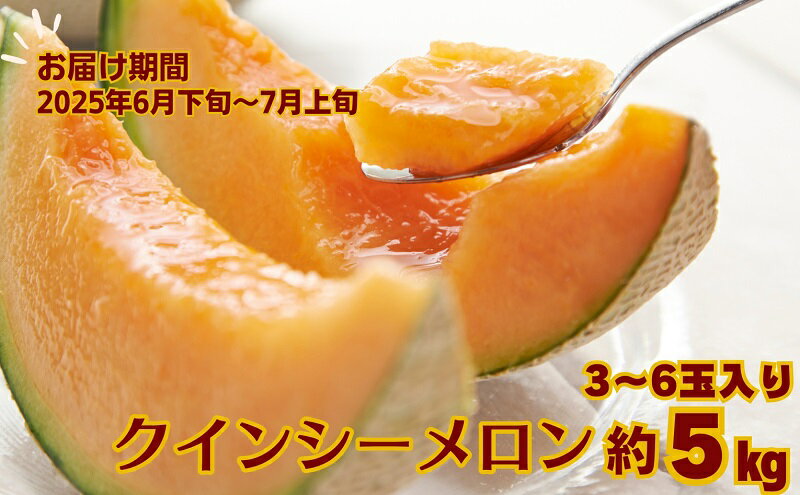 【ふるさと納税】クインシー メロン（赤肉）約5kg 果物類 フルーツ メロン赤肉 　お届け：2026年6月下旬～7月下旬 サムネイル2