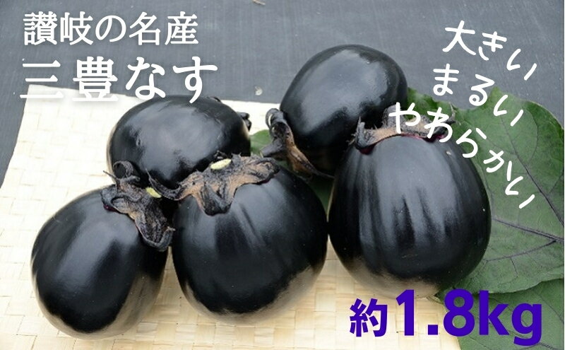【ふるさと納税】讃岐の名産 三豊なす 約1.8kg 野菜 ナス 茄子 野菜セット 　お届け：2026年7月下旬～10月上旬 - 画像2