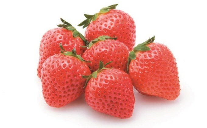 【ふるさと納税】いちご「さぬきひめ」約250g×2パック 果物類 苺 イチゴ 　お届け：2025年12月上旬～2026年1月下旬 サムネイル2