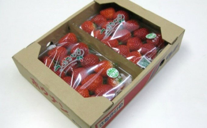 【ふるさと納税】いちご「さぬきひめ」約250g×2パック 果物類 苺 イチゴ 　お届け：2025年12月上旬～2026年1月下旬 サムネイル3