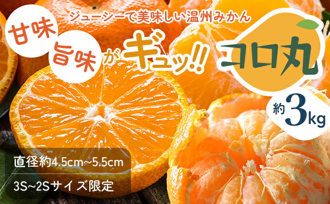 【ふるさと納税】2025年秋よりお届け 瀬戸内　小みかん！コロ丸　約3kg 果物類 柑橘類 フルーツ 　お届け：2025年10月上旬～12月中旬 サムネイル2