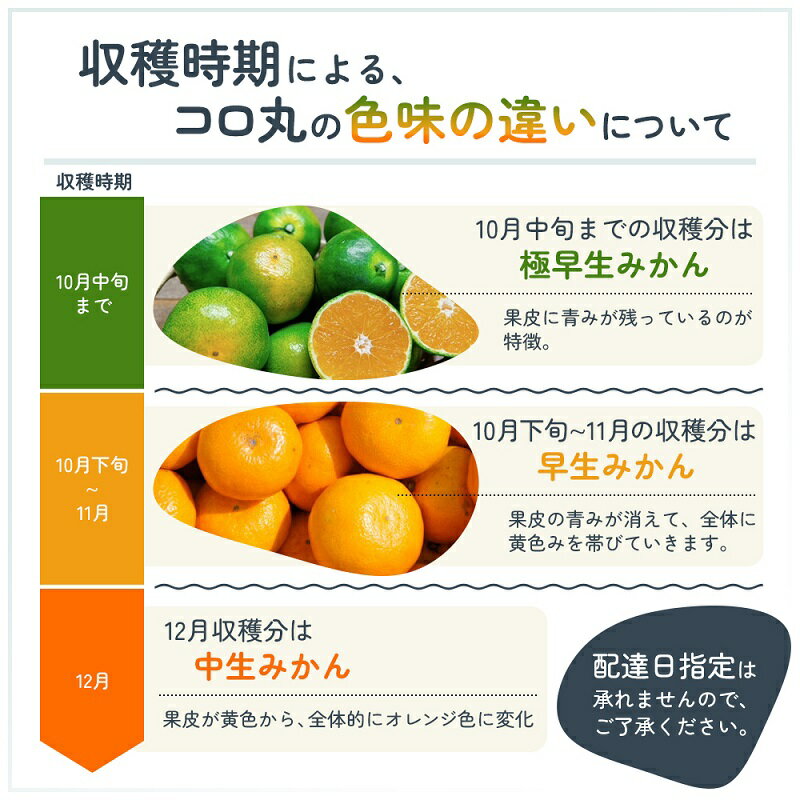 【ふるさと納税】2025年秋よりお届け 瀬戸内　小みかん！コロ丸　約3kg 果物類 柑橘類 フルーツ 　お届け：2025年10月上旬～12月中旬 サムネイル3