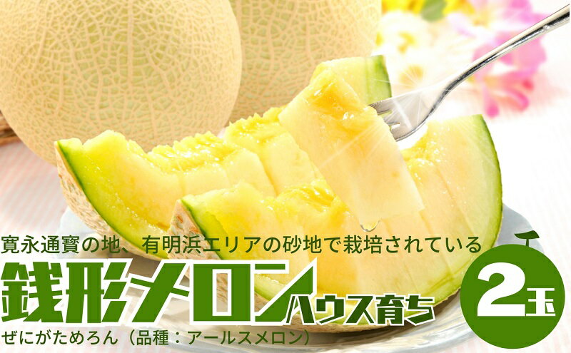 【ふるさと納税】温室メロン（銭形メロン）2玉入り 果物 メロン青肉 フルーツ 温室育ち アールスメロン おやつ デザート 食後 国産 香川県産 観音寺市産 　お届け：2025年11月中旬～12月上旬 サムネイル2