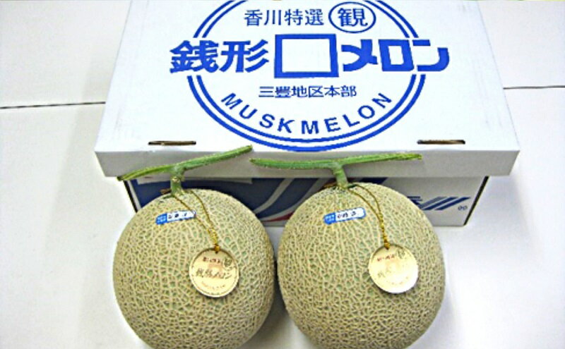 【ふるさと納税】温室メロン（銭形メロン）2玉入り 果物 メロン青肉 フルーツ 温室育ち アールスメロン おやつ デザート 食後 国産 香川県産 観音寺市産 　お届け：2025年11月中旬～12月上旬 サムネイル3
