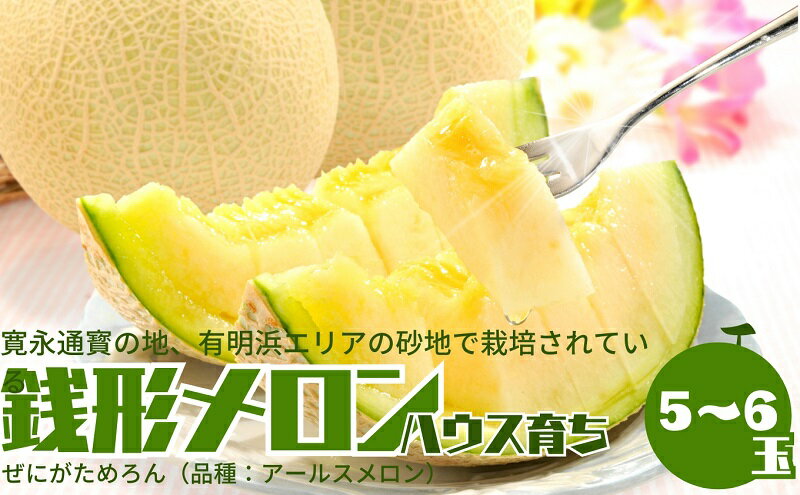【ふるさと納税】温室メロン（銭形メロン）5～6玉入り 果物 メロン青肉 フルーツ 温室育ち アールスメロン おやつ デザート 食後 国産 香川県産 観音寺市産 　お届け：2025年11月中旬～12月上旬 サムネイル2