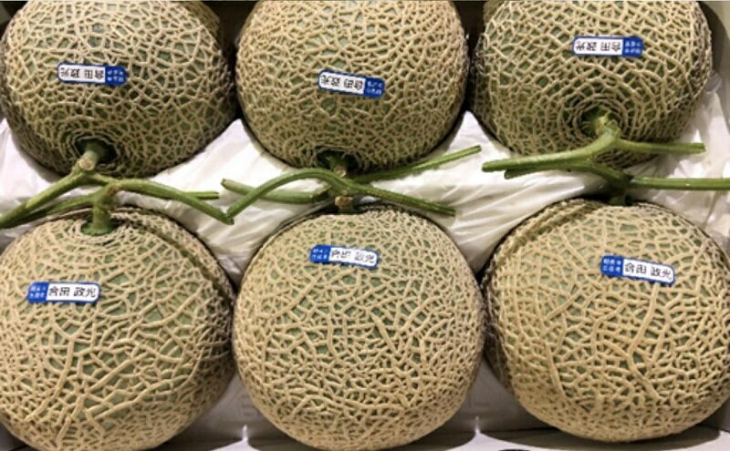 【ふるさと納税】温室メロン（銭形メロン）5～6玉入り 果物 メロン青肉 フルーツ 温室育ち アールスメロン おやつ デザート 食後 国産 香川県産 観音寺市産 　お届け：2025年11月中旬～12月上旬 サムネイル3