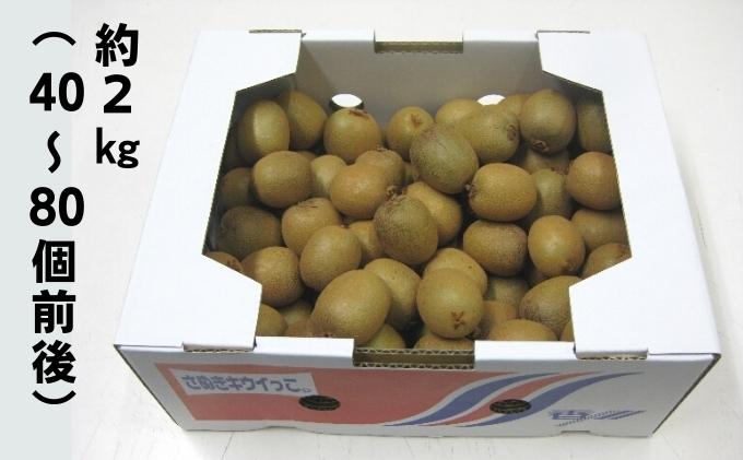 【ふるさと納税】キウイっこ　約2kg 果物 フルーツ デザート 間食 おやつ 食後 一口サイズ 香川県オリジナル 糖度 高い 酸味 少ない 国産 香川県産 観音寺市産 　お届け：2025年11月下旬～12月下旬 サムネイル3