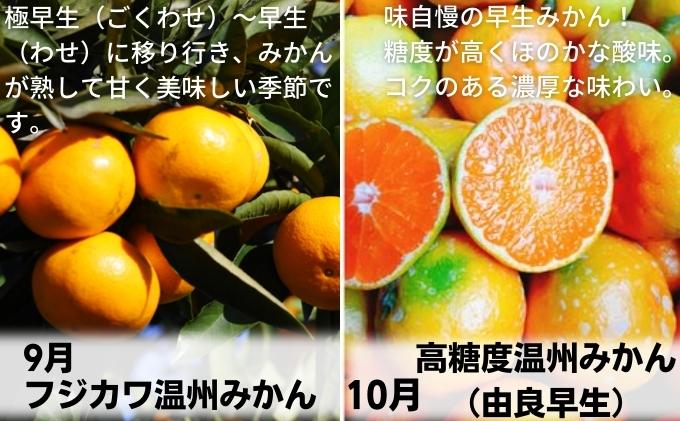 【ふるさと納税】【9回頒布会】フジカワ果樹園オリジナル・新季節の柑橘セット 定期便 食べ比べ 　お届け：ご寄附（入金）頂いた月の次月回より配送開始となります サムネイル3