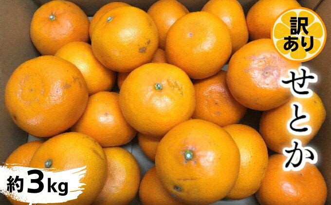【ふるさと納税】《訳あり》 せとか 約3kg 甘い みかん お取り寄せ 果物 くだもの 季節限定 柑橘 蜜柑 かんきつ おすすめ フルーツ 香川県観音寺市 　お届け：2026年2月上旬～3月上旬 サムネイル2