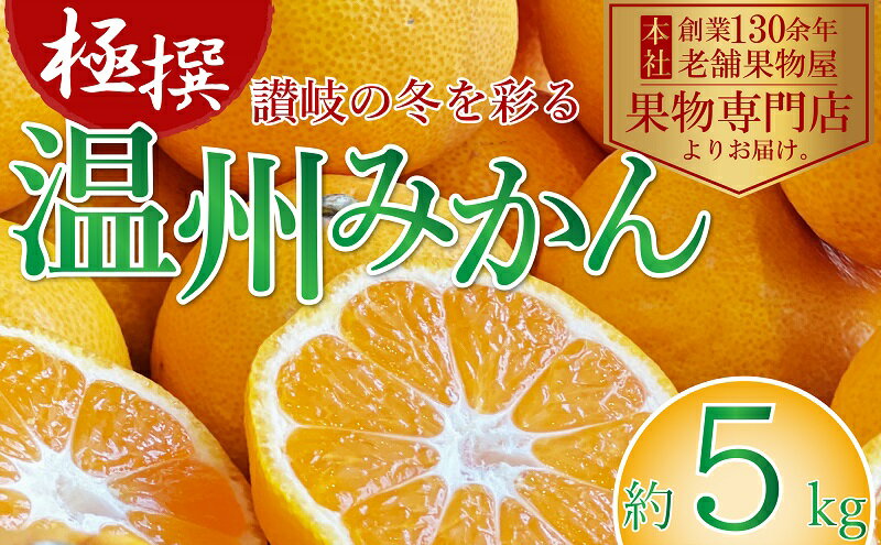 【ふるさと納税】【2025年11月上旬より順次発送】極撰！温州みかん 約5kg 果物 柑橘 フルーツ 程よい酸味 ジューシー 甘い 国産 日本産 冬の味覚 冬の果物 冬のフルーツ 　お届け：2025年11月上旬～2026年1月中旬 サムネイル2