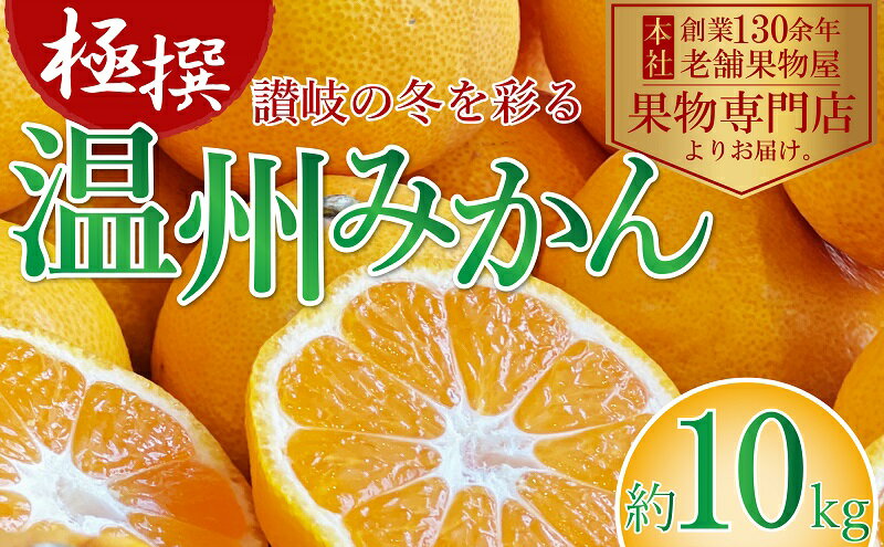 【ふるさと納税】2025年11月上旬より順次発送】極撰！温州みかん　約10kg 果物 柑橘 フルーツ 程よい酸味 ジューシー 甘い 国産 日本産 冬の味覚 冬の果物 冬のフルーツ 　お届け：2025年11月上旬～2026年1月中旬 サムネイル2