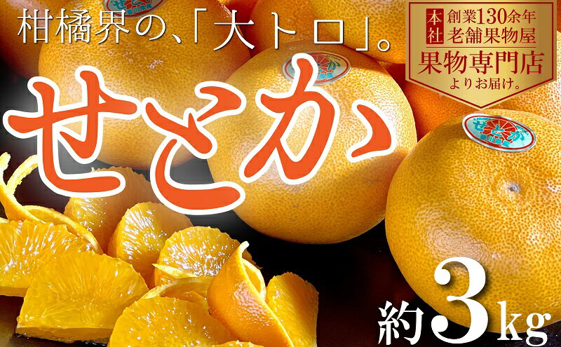 【ふるさと納税】【2026年2月上旬より順次発送】柑橘界の大トロ！せとか　約3kg 果物 フルーツ 国産 日本産 冬の味覚 冬の果物 冬のフルーツ 香川オリジナル品種 観音寺市産 　お届け：2026年2月上旬～4月中旬 サムネイル2