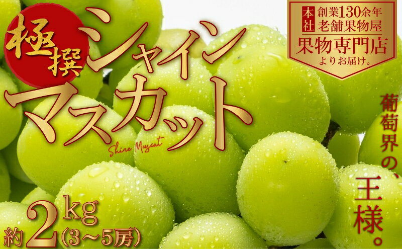 【ふるさと納税】【2026年先行予約 極撰】シャインマスカット　約2kg（3～5房） 果物 ぶどう フルーツ デザート 食後 国産 日本産 産地直送 ジューシー 種なし 観音寺産 　お届け：2026年8月中旬～10月中旬 サムネイル2